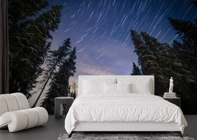 Forest trees against star trails in the night sky Wall mural