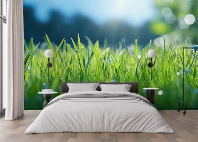 grass  high definition(hd) photographic creative image Wall mural