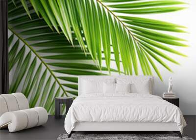 Palm tree leaves on only one side on a transparent background. Wall mural