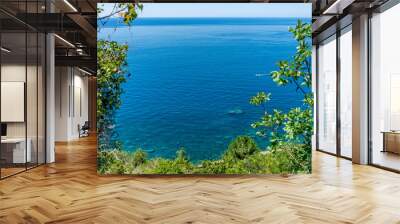 Italy, Cinque Terre, Corniglia, a large body of water Wall mural