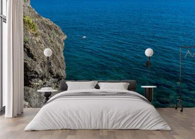 Italy, Cinque Terre, Monterosso, a close up of a rock next to a body of water Wall mural