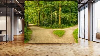 Muddy path parting into two at Haagse Bos, forest in The Hague Wall mural