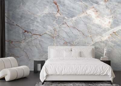 gray light marble stone texture background Wall mural