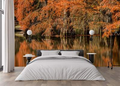 lake in autumn Wall mural