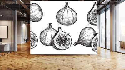 Figs sketch style set. Fruit of fig tree isolated on white background. Vintage black and white hand drawing. Best for the menu and kitchen design. Wall mural