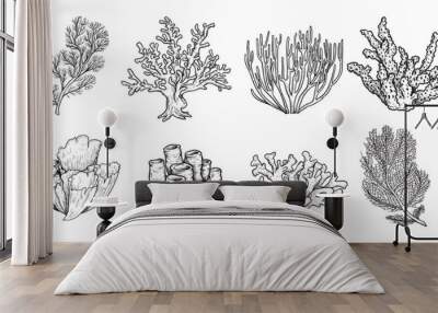 Hand drawn sketch style various corals set. Best for educational and nautical designs. Vector illustrations collection. Wall mural