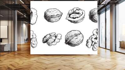 Hand drawn sketch style walnut set. Organic healthy food. Best for package and food design. Nuts vector illustrations isolated on white background. Wall mural