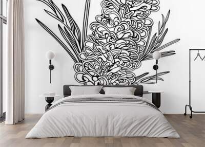 Hand-drawn Australain Grevillea Flower Vector Wall mural