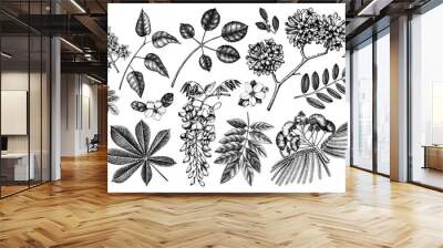 Vector set of hand drawn blossoming trees illustration. Spring design elements. Vector flower, leaf, branch sketches collection on white background Wall mural