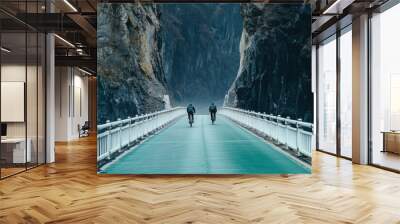 A white metal guardrail bridge, with a green asphalt road surface and black rock walls on both sides of the river in China Generative AI Wall mural