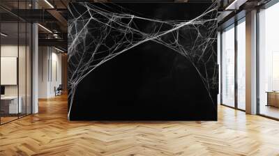 Black background with white spider webs, hanging from the left and right sides of the screen The webs are thin and long Generative AI Wall mural