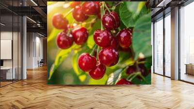 Red cherries hanging on the tree, green leaves in the background, sunny day, focus on the red cherry fruits, closeup view of fresh and juicy cherries Generative AI Wall mural