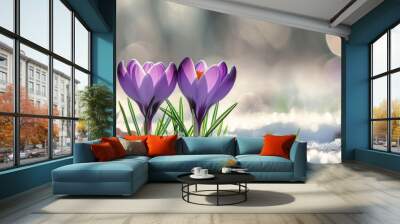 two purple crocus that are in spring season Generative AI Wall mural