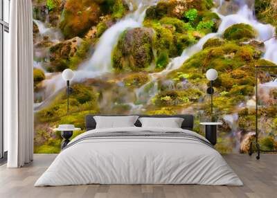 Mossy Stream Wall mural