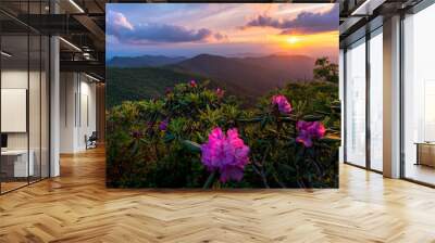 Sunset at the Blue Ridge Mountains in the spring is an amazing experience. The explosion of colors from the flowers and wildlife comes alive.  Wall mural