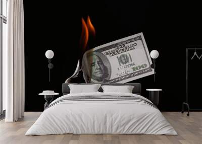 Money fire burn dollar paper Wall mural