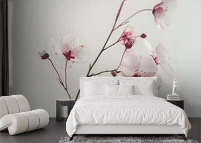 Small Pink and Cream Flowers on White Background

 Wall mural