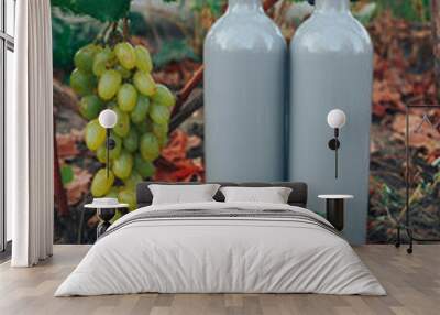 two gray bottles of wine stands on the ground next to grapes, green leaves and a vine. countryside, natural product Wall mural