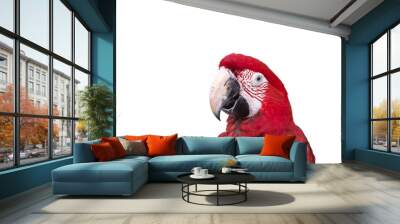 Close up colorful parrot macaw isolated on white Wall mural