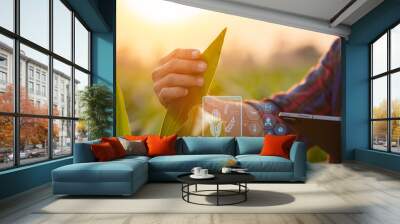 Farmer using digital tablet in corn crop cultivated field with smart farming interface icons and light flare sunset effect. Smart and new technology for agriculture business concept. Wall mural