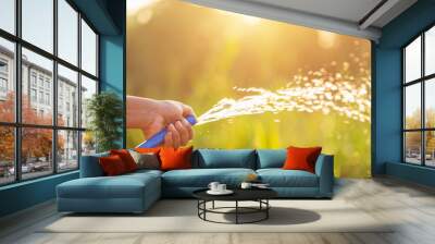 Hand holding water hose and watering to the plant in outdoor garden Wall mural