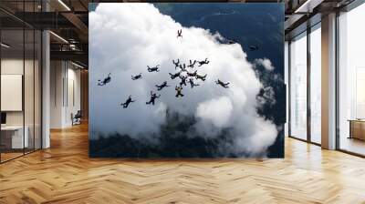 skydiving Wall mural