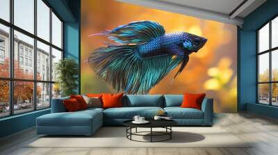 betta fish Wall mural