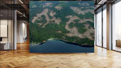 aerial view of deforestation along the Vancouver island, BC Canada Wall mural