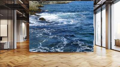 rugged shoreline blue ocean surface with light surf swell  Wall mural