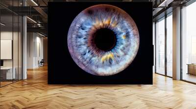 Closeup of an human eye Wall mural