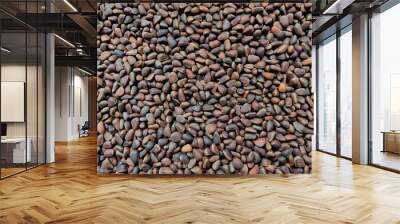 embossed cedar nuts background Wall mural