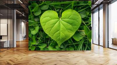 Heart shape green leaf on natural green background Wall mural