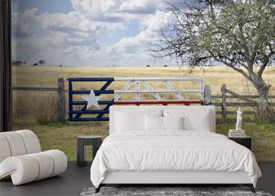 Texas Lone Star flag painted on gate to grazing meadow Wall mural