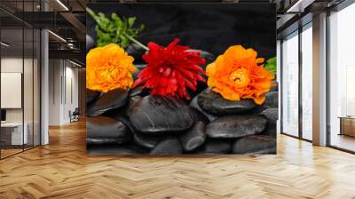 Three ranunculus flower with leaf on black stones

 Wall mural