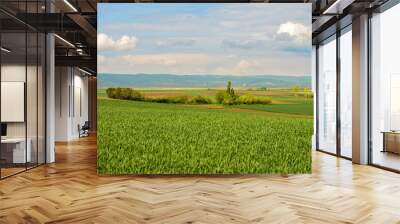 Agricultural land next to the road Wall mural