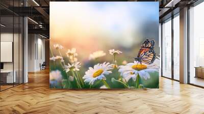 beautiful wild flowers daisies and butterfly in morning cool haze in nature spring close up macro delightful airy artistic image beauty summer nature Wall mural