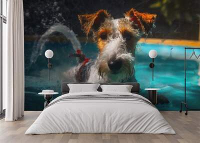 wire fox terrier swimming in pool Wall mural