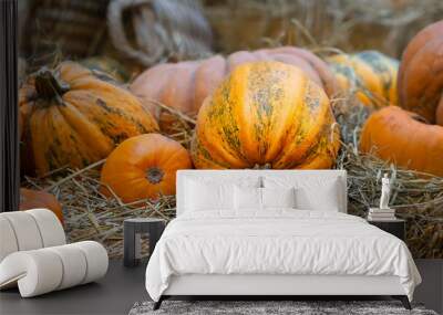 Pumpkins in the hay. Autumn decorative background. Wall mural