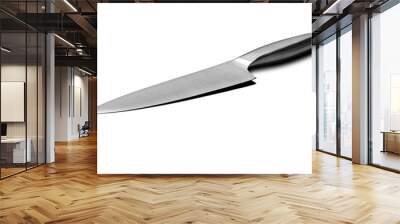 _X1A9708 Stainless steel blade insulated. Wall mural