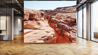 The red sand rocks in desert. Vertical shot. Wall mural