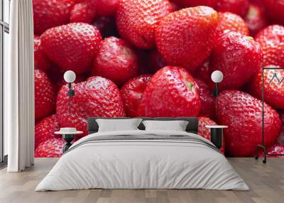 a background of fresh strawberries fruit, close up/fresh red bright strawberries. macro, top view Wall mural