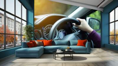  hands on steering wheel on the right with country side view Wall mural