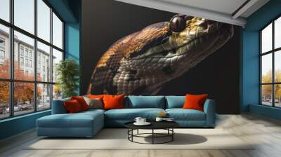 Close-Up of a Serene Python Wall mural