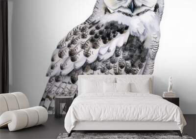 white owl watercolor good quality and good design Wall mural