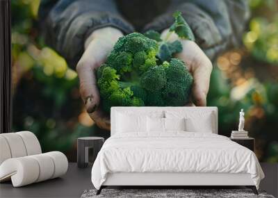 Gardener's hands holding broccoli, organic product from farm Wall mural