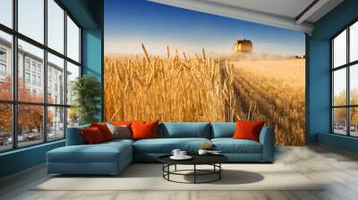 harvest time Wall mural