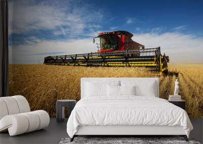 modern combine harvester working on a wheat crop Wall mural