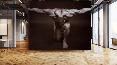 the muscular male Wall mural