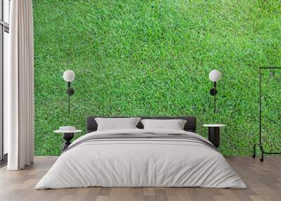 Green grass background top view natural texture and wallpaper. Wall mural