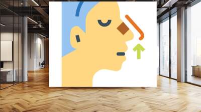 rhinoplasty flat icon style Wall mural